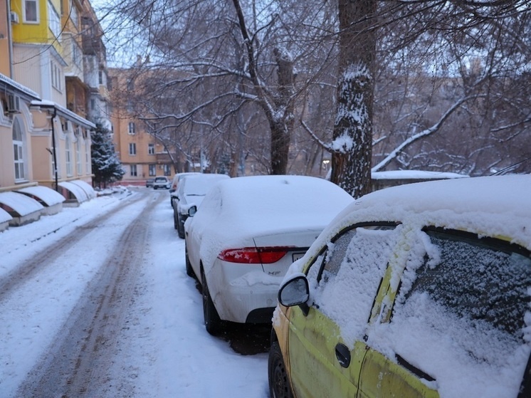     © Фото: ИД «Волгоградская правда» / Кирилл Брага / архив