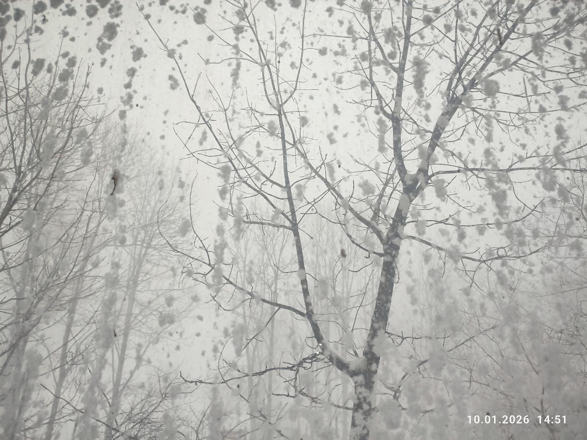 Фото автора.