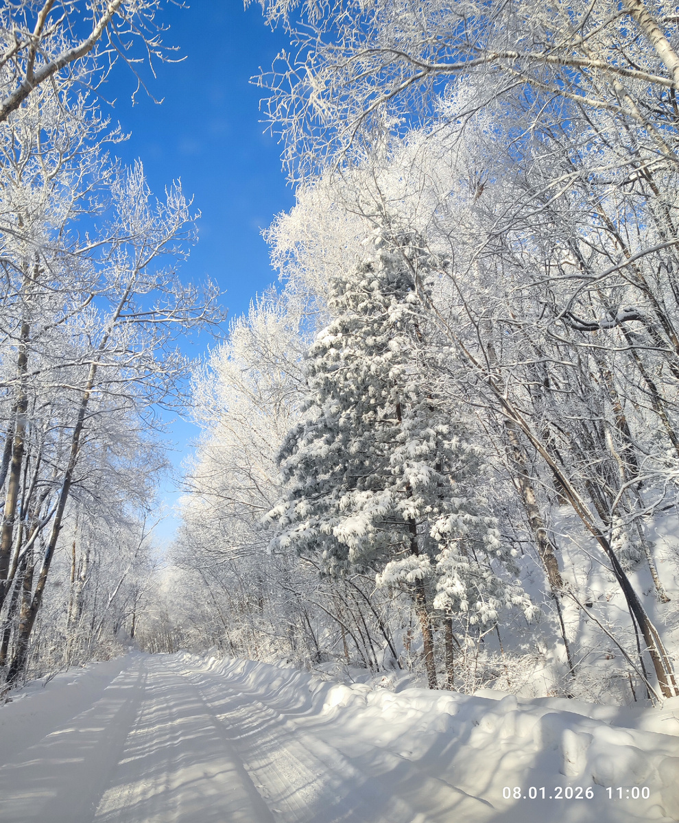 Фото автора.