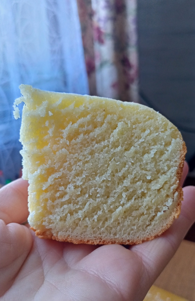 Фото автора канала "Волнушка"