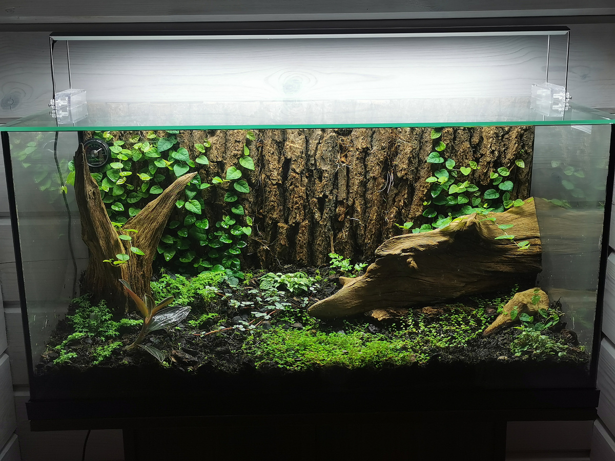 Разрастается...