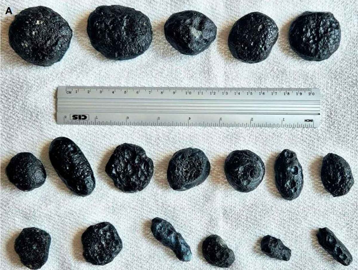    Размеры и формы тектитов, найденных в Бразилии / © Alvaro Penteado Crosta, IG-UNICAMP