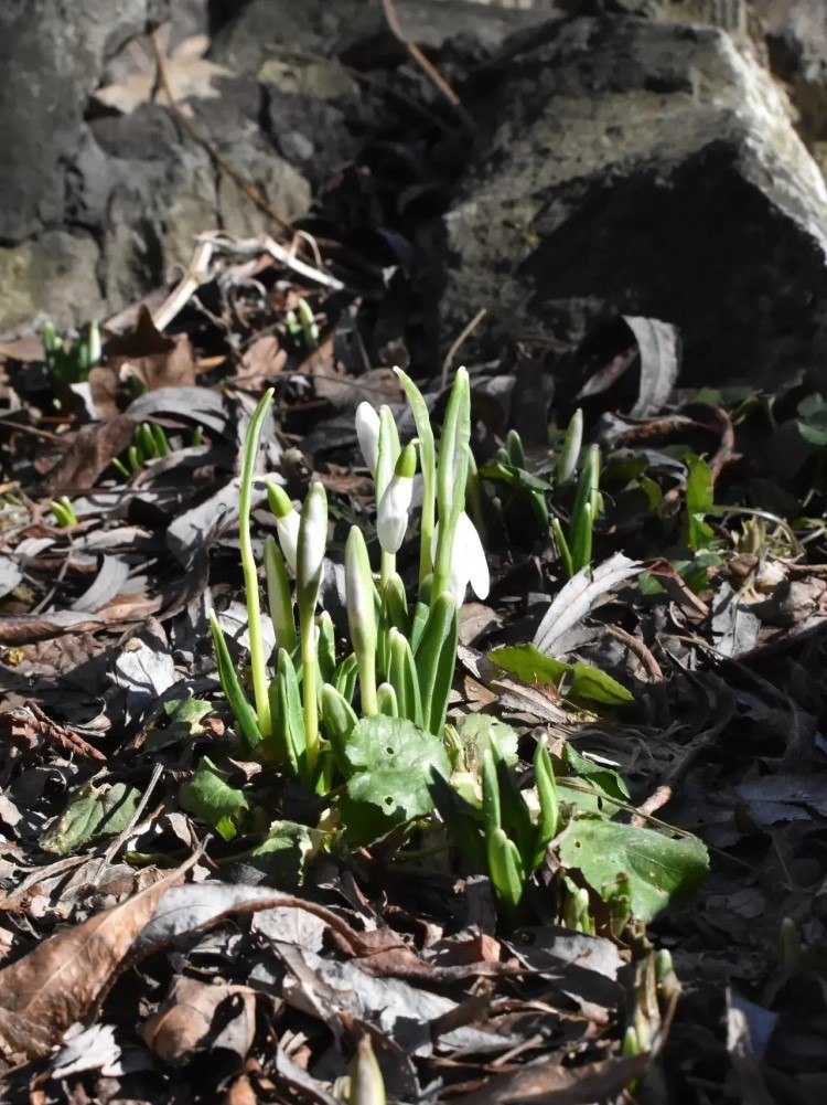    Фото: t.me/ministr_mproos_sk Светлана Уварова