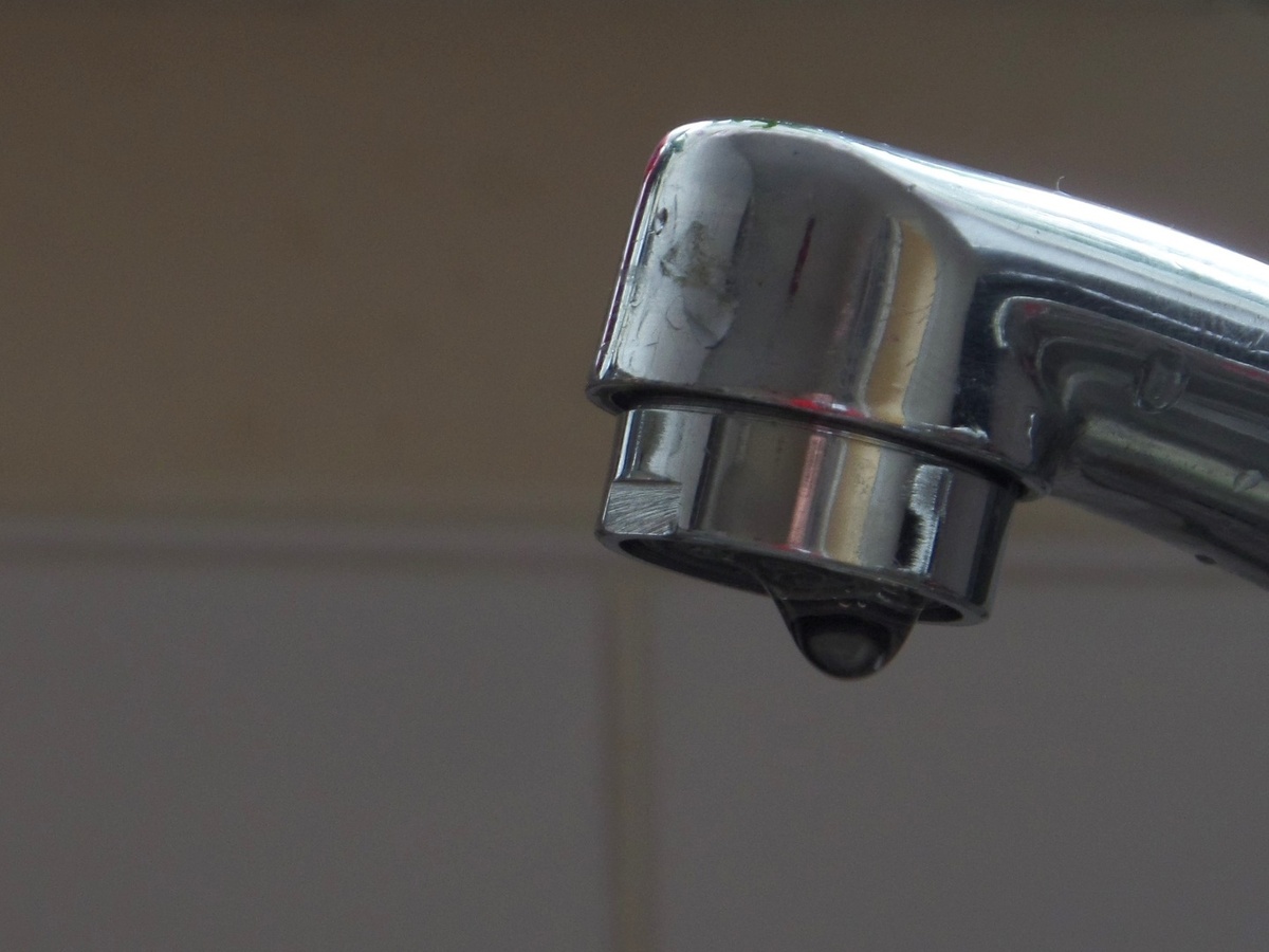    Фото с сайта pxhere.com