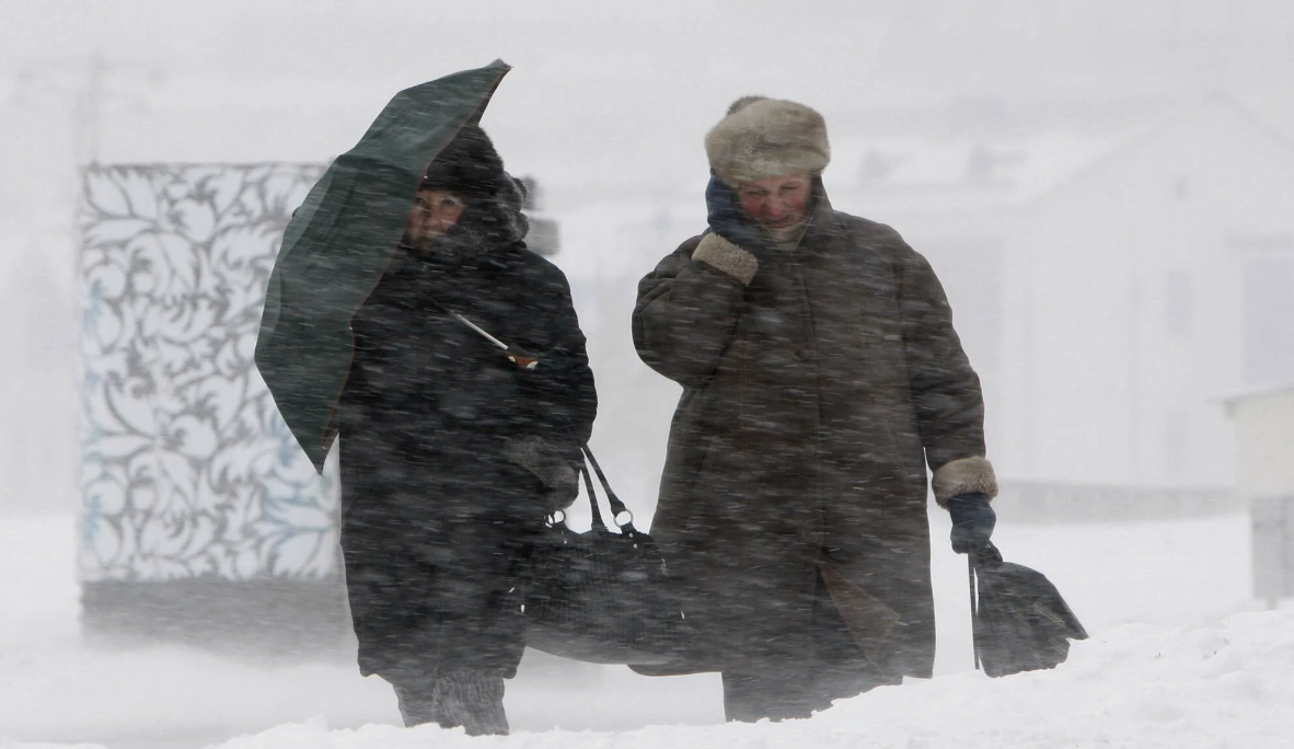 Фото из открытых источников 