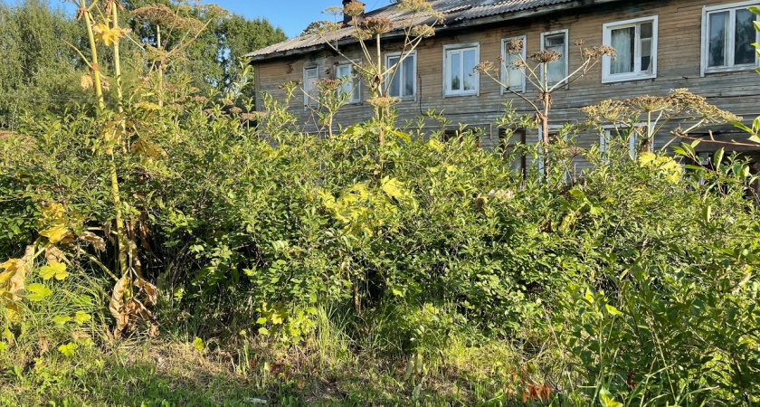    фото редакции