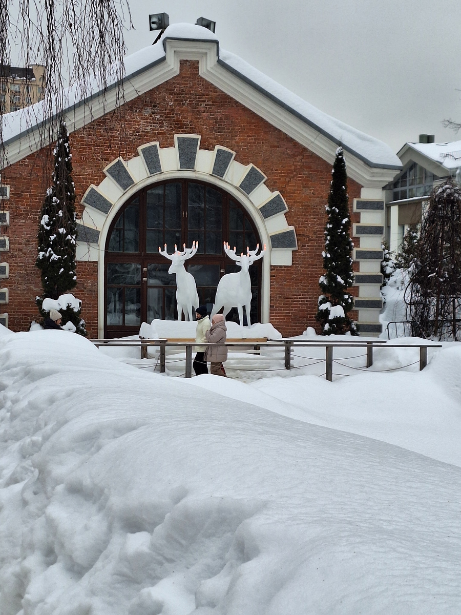 Ботанический сад зимой. Фото - собственность автора канала "ТАК НАДО".