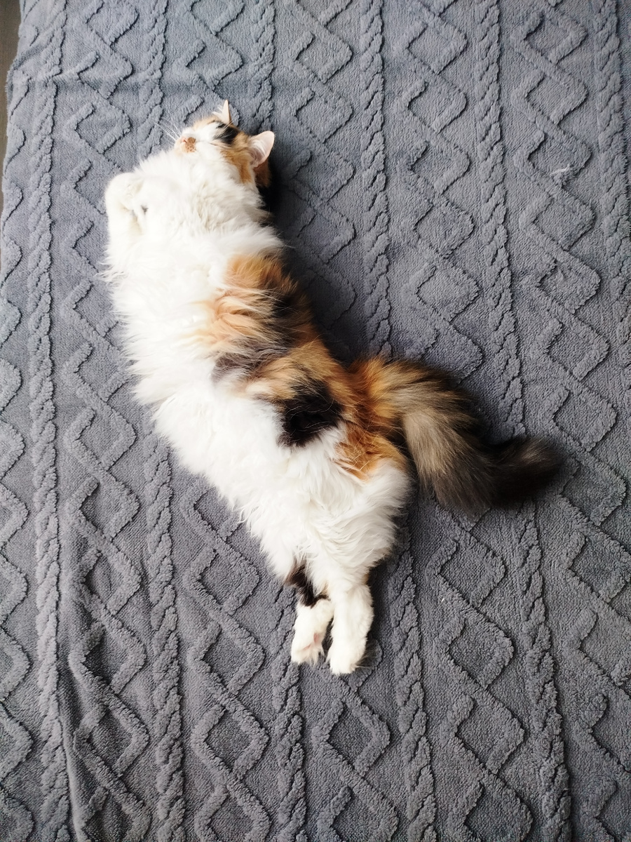 Рождена для любви