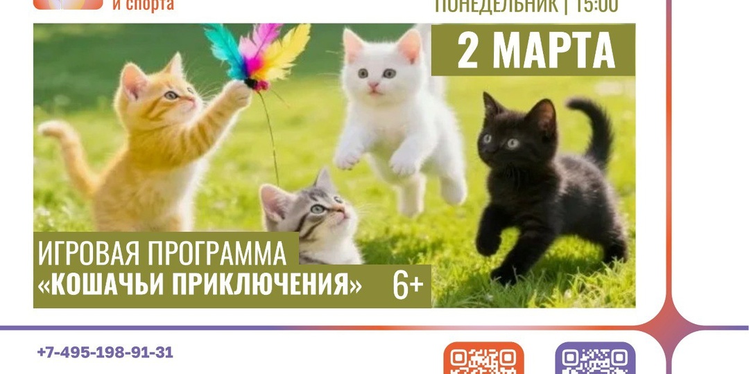 🎉 «Кошачьи приключения»: игровая программа ко Дню кошек