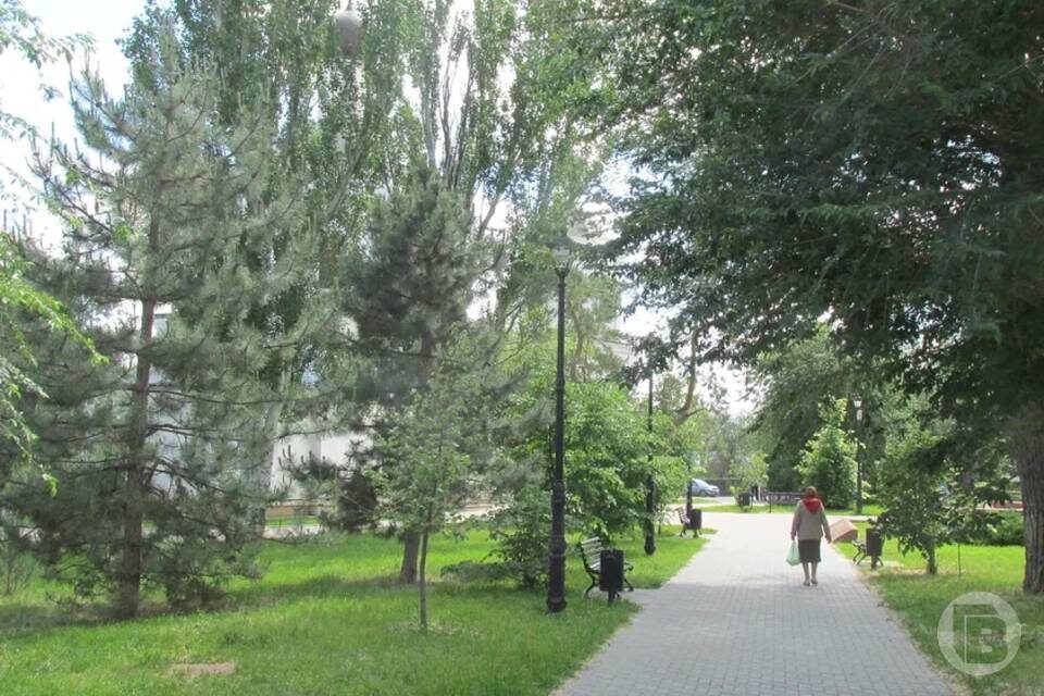    Фото: "Городские вести"