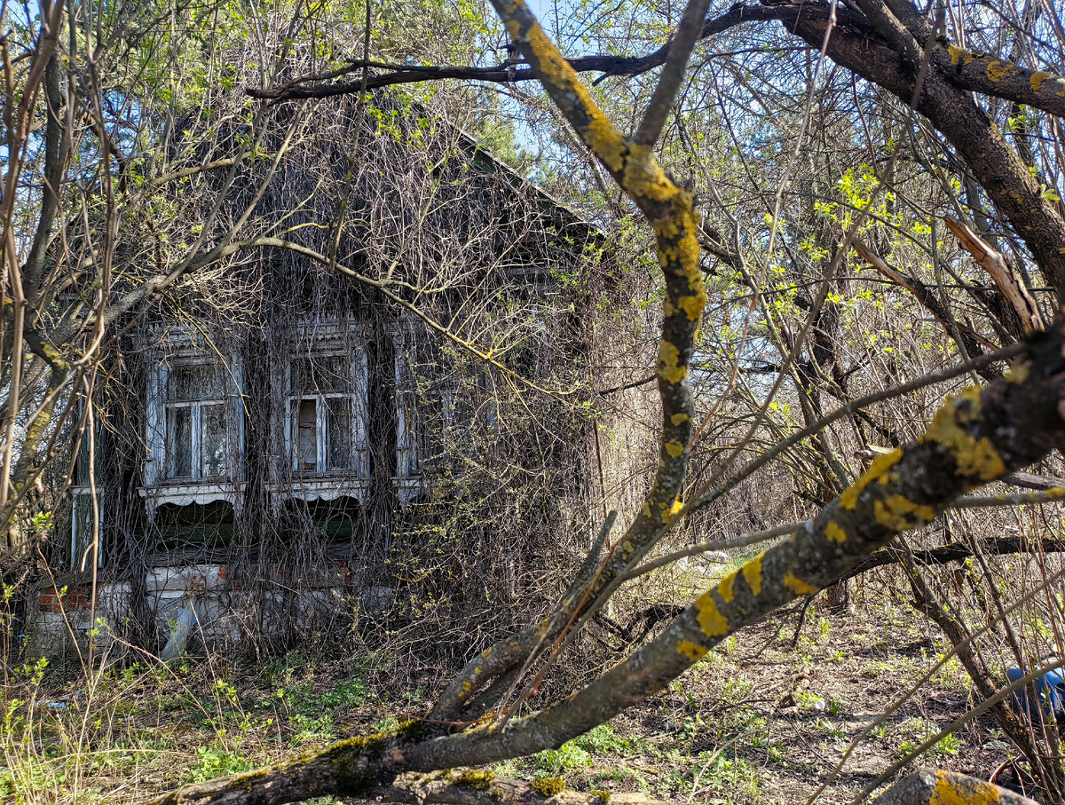 Хотели бы вы такое соседство иметь? А ведь кто-то имеет. И терпит. И до сей поры ничего с этим сделать было нельзя