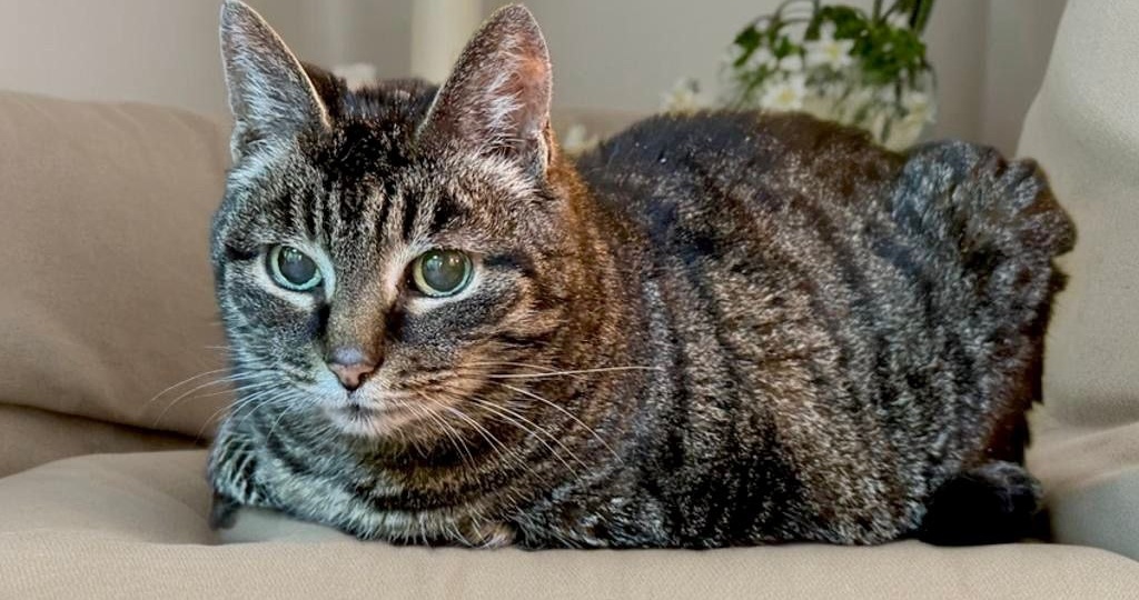 Три, два, одииииин