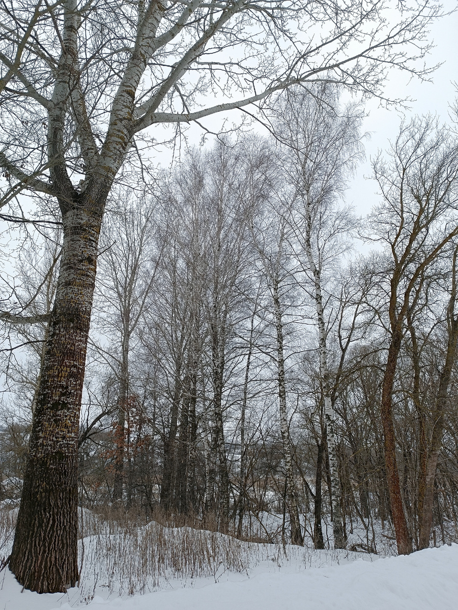 Ещë зимний пейзаж