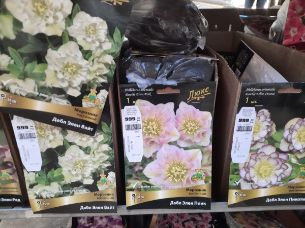 Что точно не нужно покупать в садовых центрах в феврале-марте? И что вообще никогда