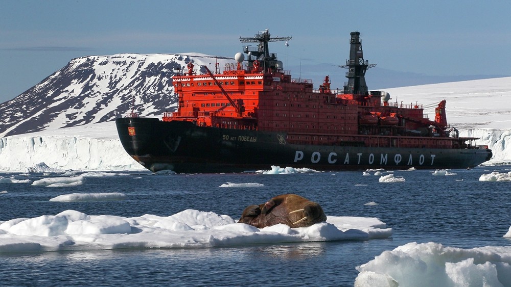 Фото: Вера Костамо / РИА Новости