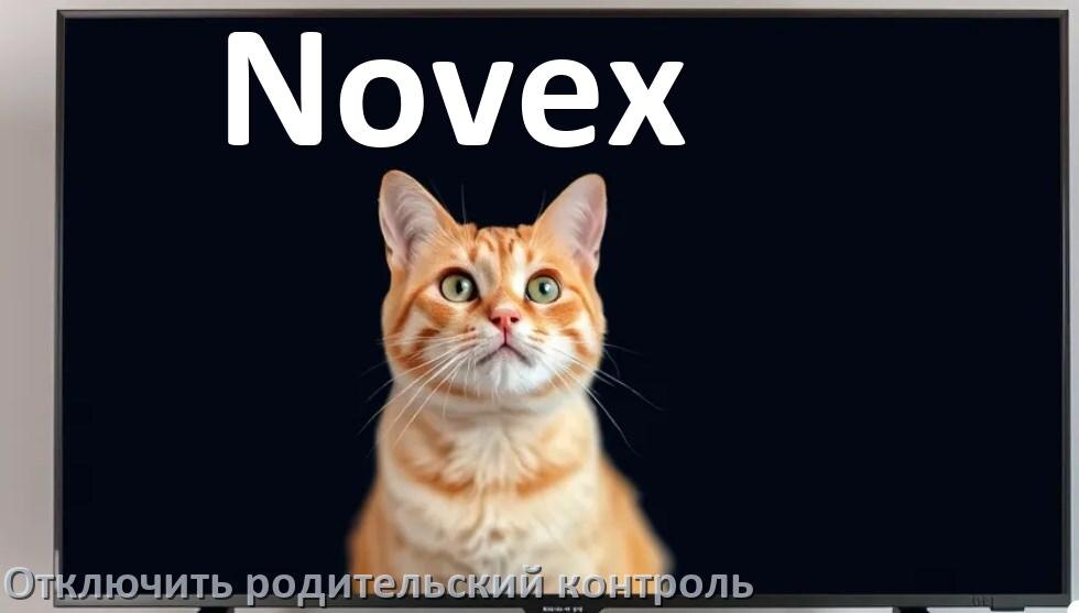 
Как на телевизоре Novex отключить родительский контроль