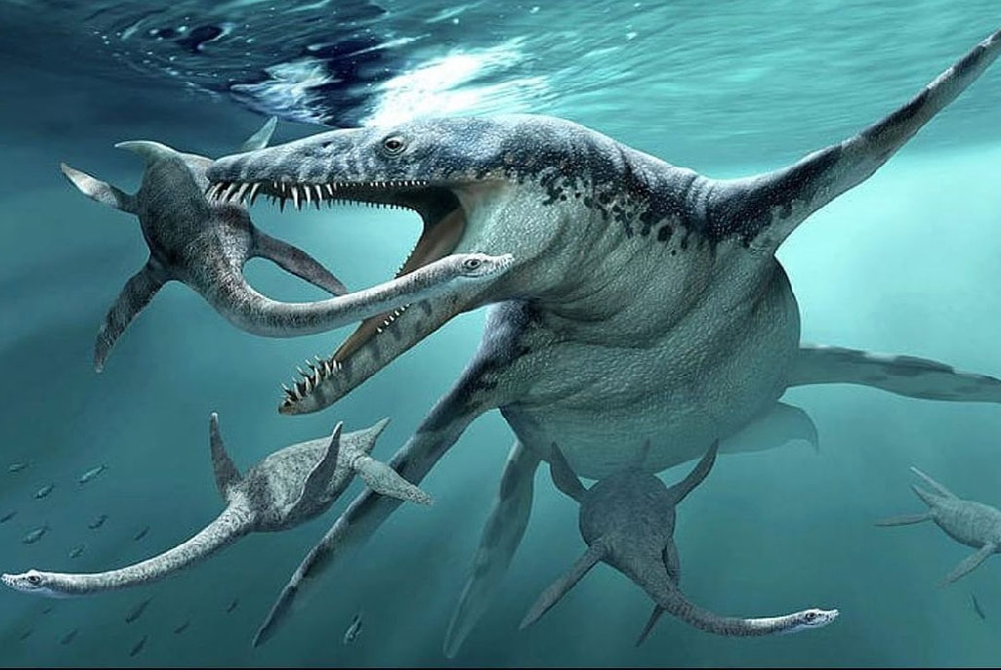 Геологическая история Саратовской области