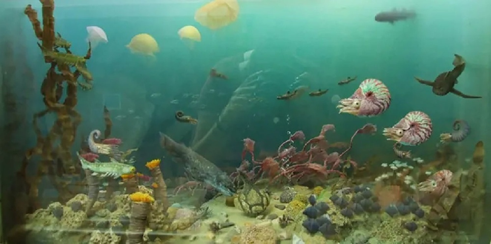 Геологическая история Саратовской области