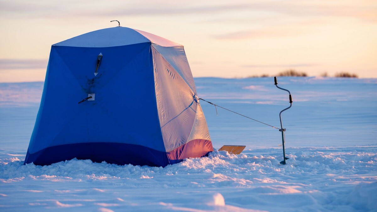    Фото: Федор Воронов / «Ямал-Медиа»