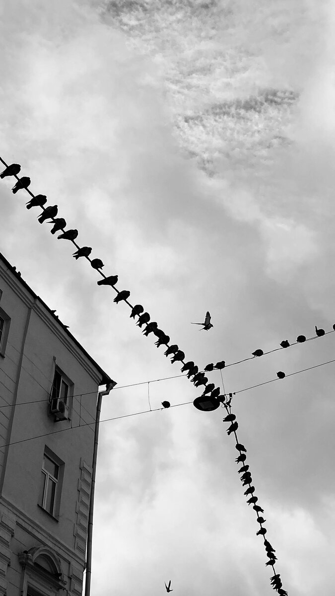 Фотопрактика. Фотограф Мария Бондарева.