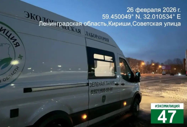 фото: Экомилиция