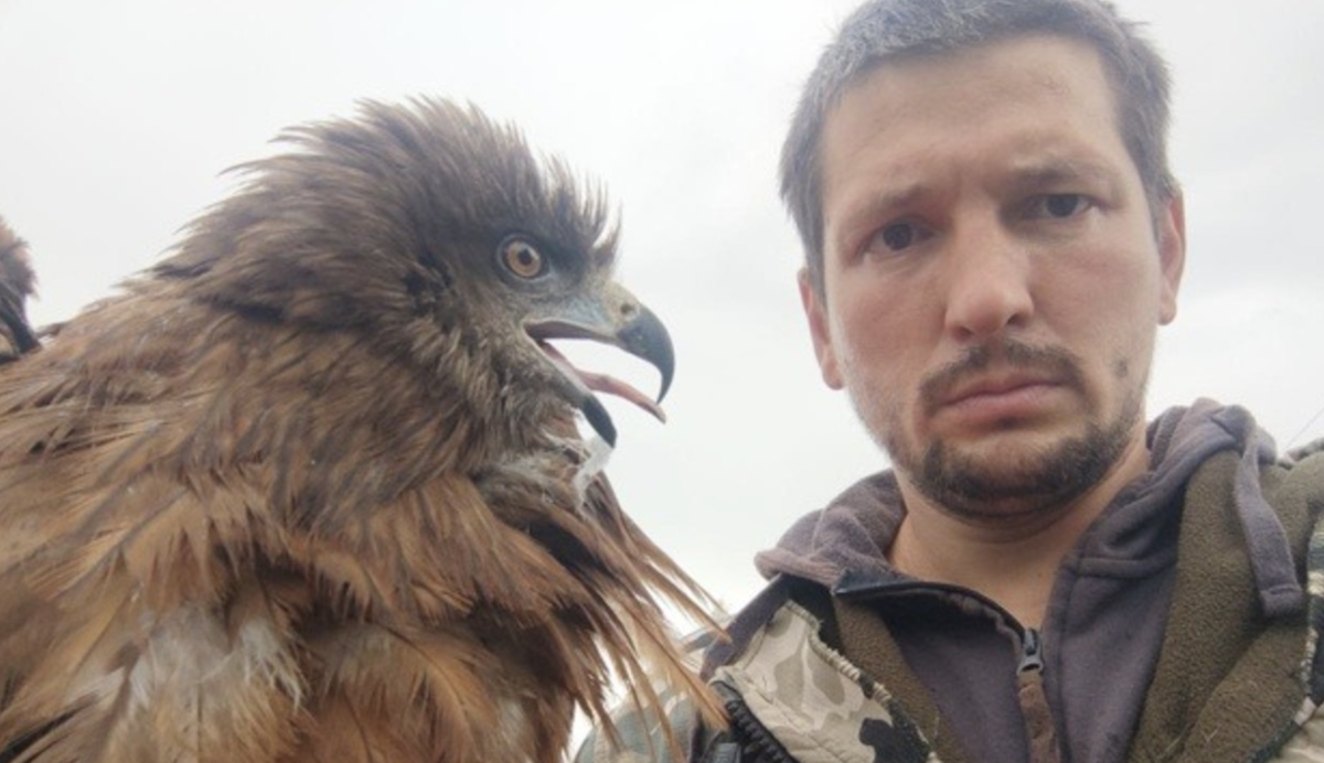 Дмитрий Стрельников и его подопечная
Фото: телеграм-канал центра реабилитации диких животных «Пин и Пуф»