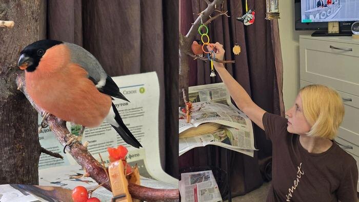 Обложка © Life.ru