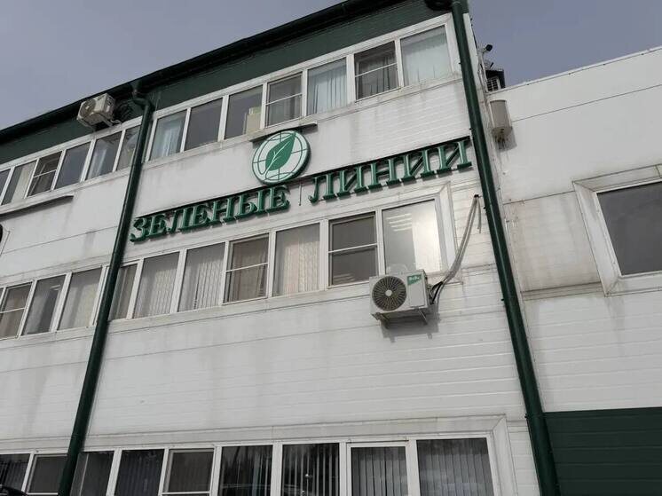     Фото: Анатолий Артамонов/ТГ