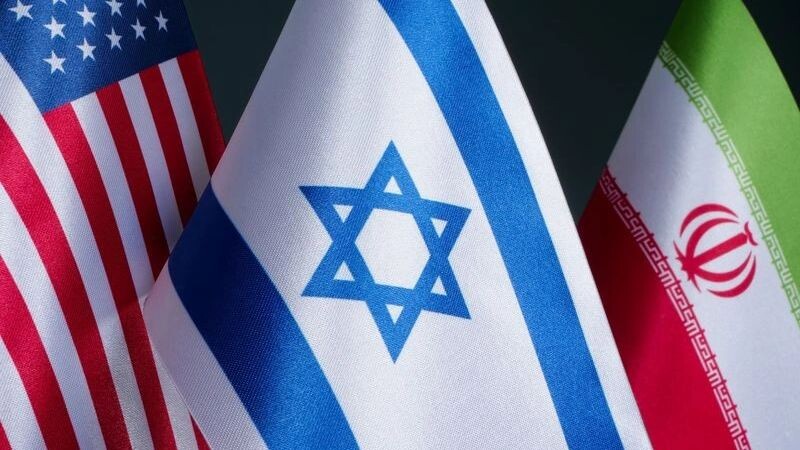    Фото: Vitalii Vodolazskyi/Shutterstock/Fotodom