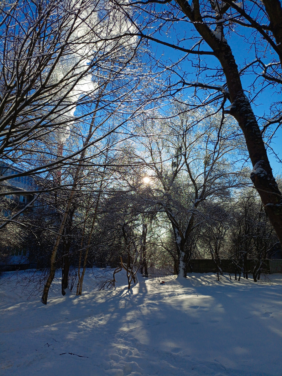 Рядом с садиком .