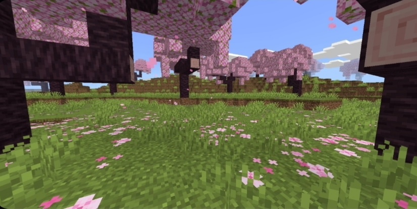 Скриншот, сделанный мной.