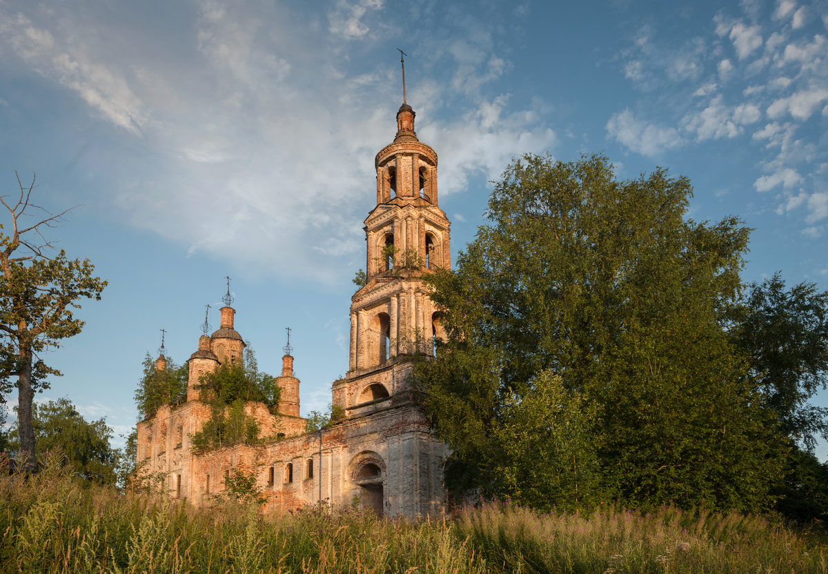 Зашугомье. Автор - Анна Короб. Предоставлно АНО "Консервация"
