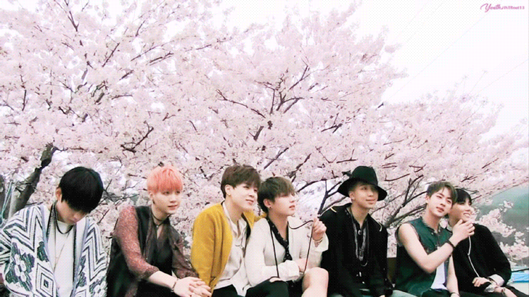BTS и сакура.
