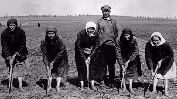 «Крепостное право по-советски»: Почему жили без паспортов крестьяне в СССР середины XX века, и как люди ломали систему