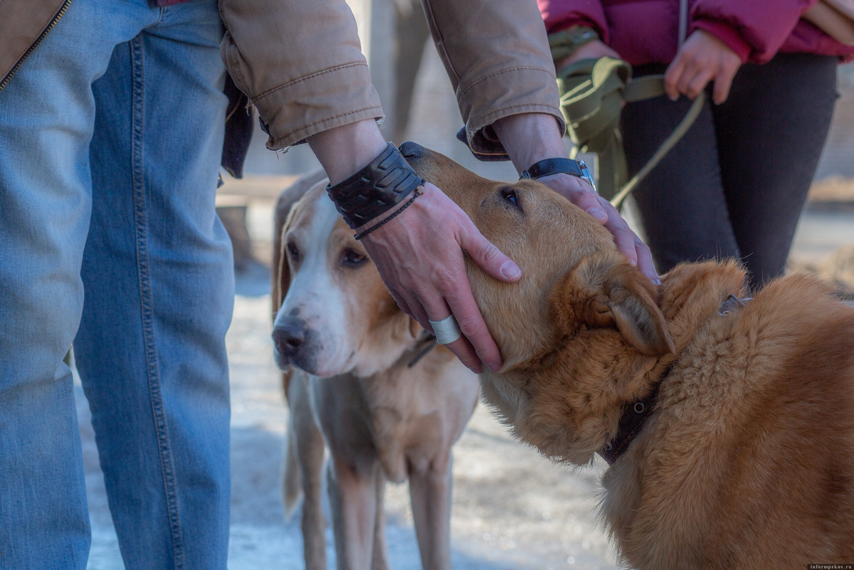 Фото: Анастасия Куртеева