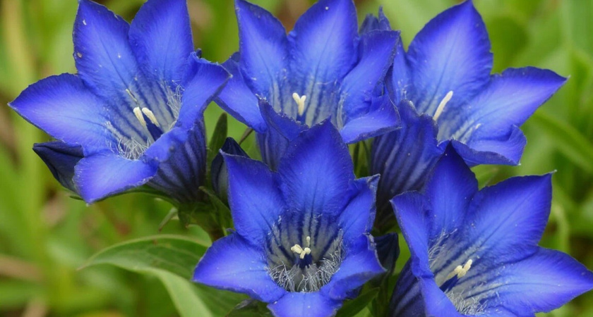    Картинка из нейросети Шедеврум