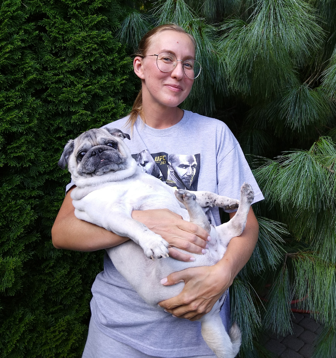 Мопс Босс сидит на ручках