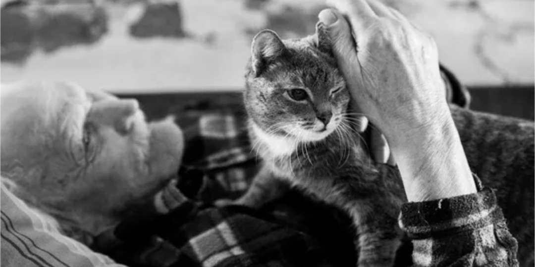 Дед Ваня плакал, ему сказали усыпить его кошку. А что произошло дальше поразило всех до глубины души