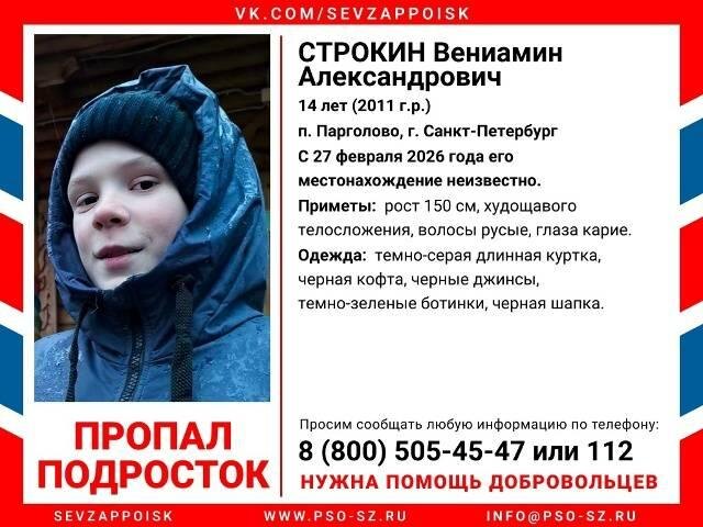 Информация о подростке, пропавшем в п. Парголово, г. Санкт-Петербурге. Фото © VK / Поисково-спасательный отряд «Северо-Запад»
