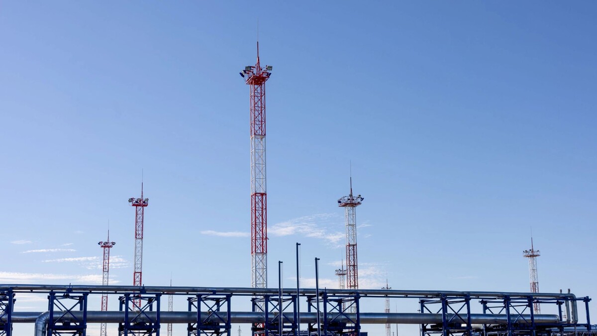    Фото: Сергей Зубков / «Ямал-Медиа»