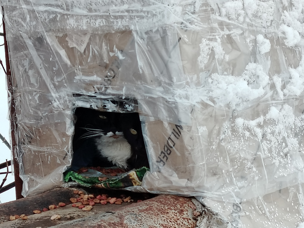 А это фотография сделана при сильном приближении камеры 25 февраля. Виден именно погибший друг. Рядом сидит его подружка. 