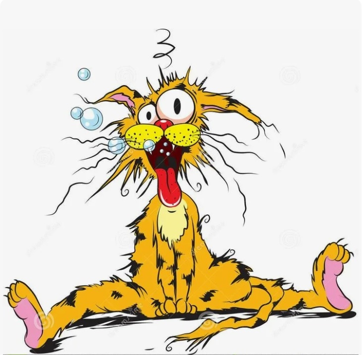 Из открытых источников интернета