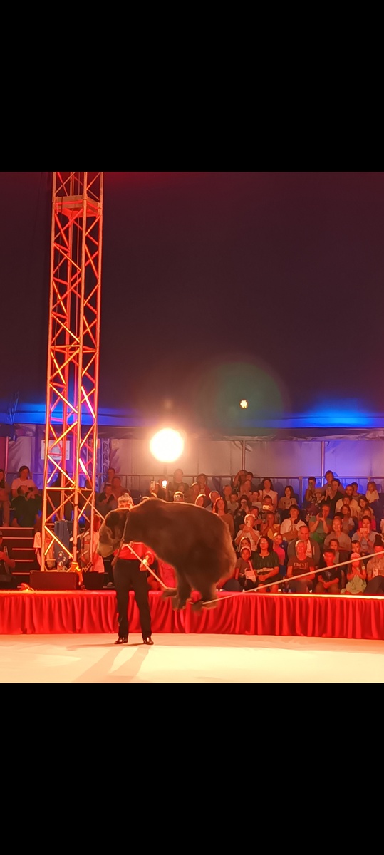 1.08 2025г. в цирке-шапито парка"Измайлово".