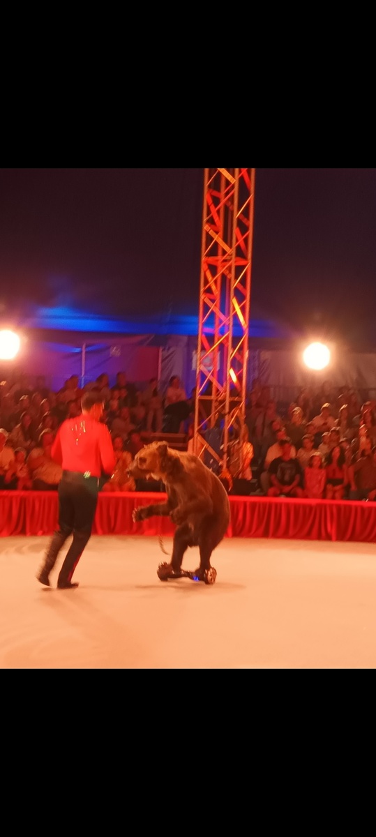 1.08 2025г. в цирке-шапито парка"Измайлово".