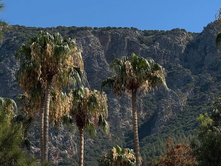 Где отдохнуть в Турции, если Стамбул уже не интересен