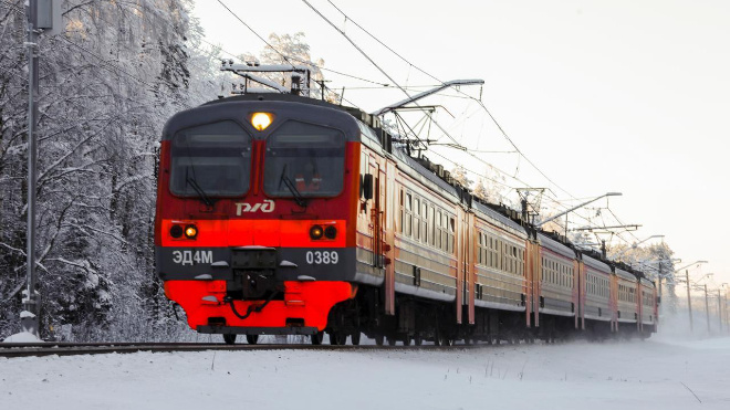 Фото: Телеграм-канал "Чистая Ленобласть"