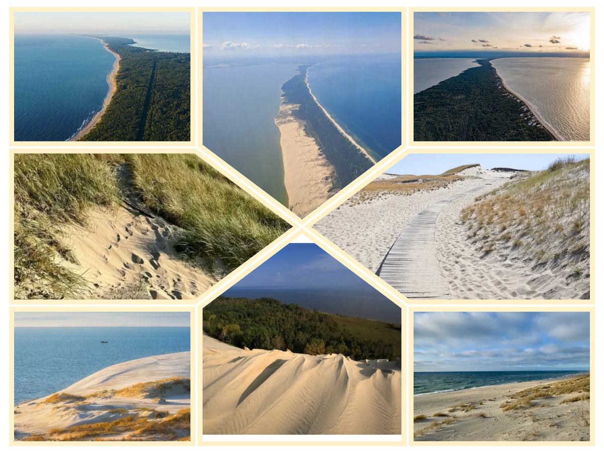 Куршская коса .