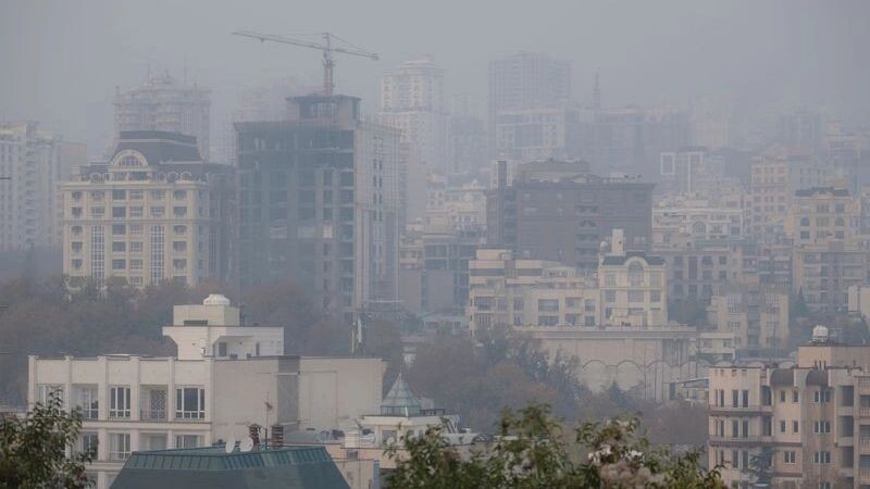    Фото: Farzad Abdollahi/Shutterstock/Fotodom