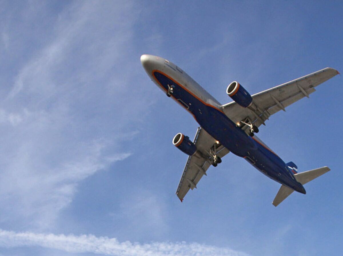    Самолет Airbus-320 | © РИА Новости / Марина Лысцева