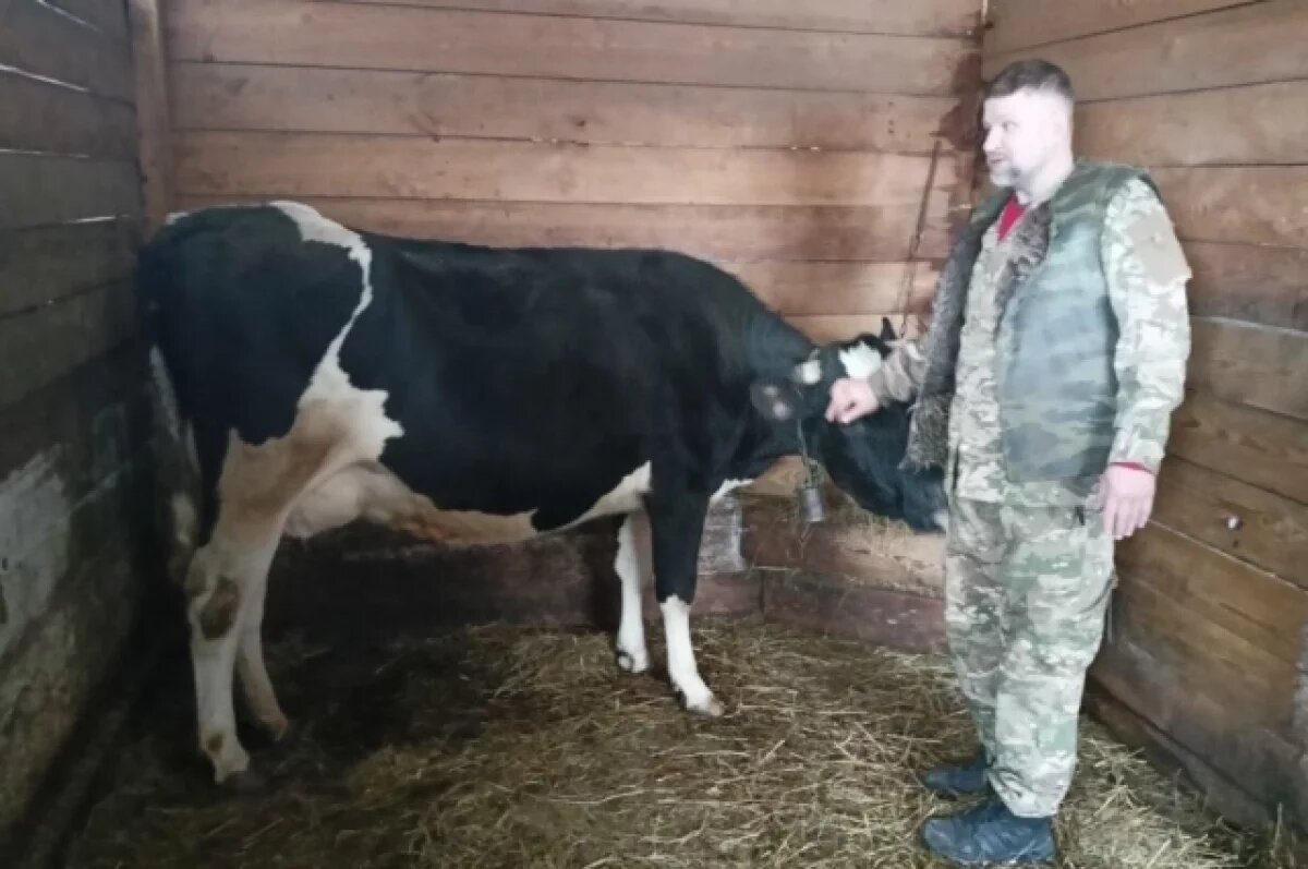    Поехал – не остановить!